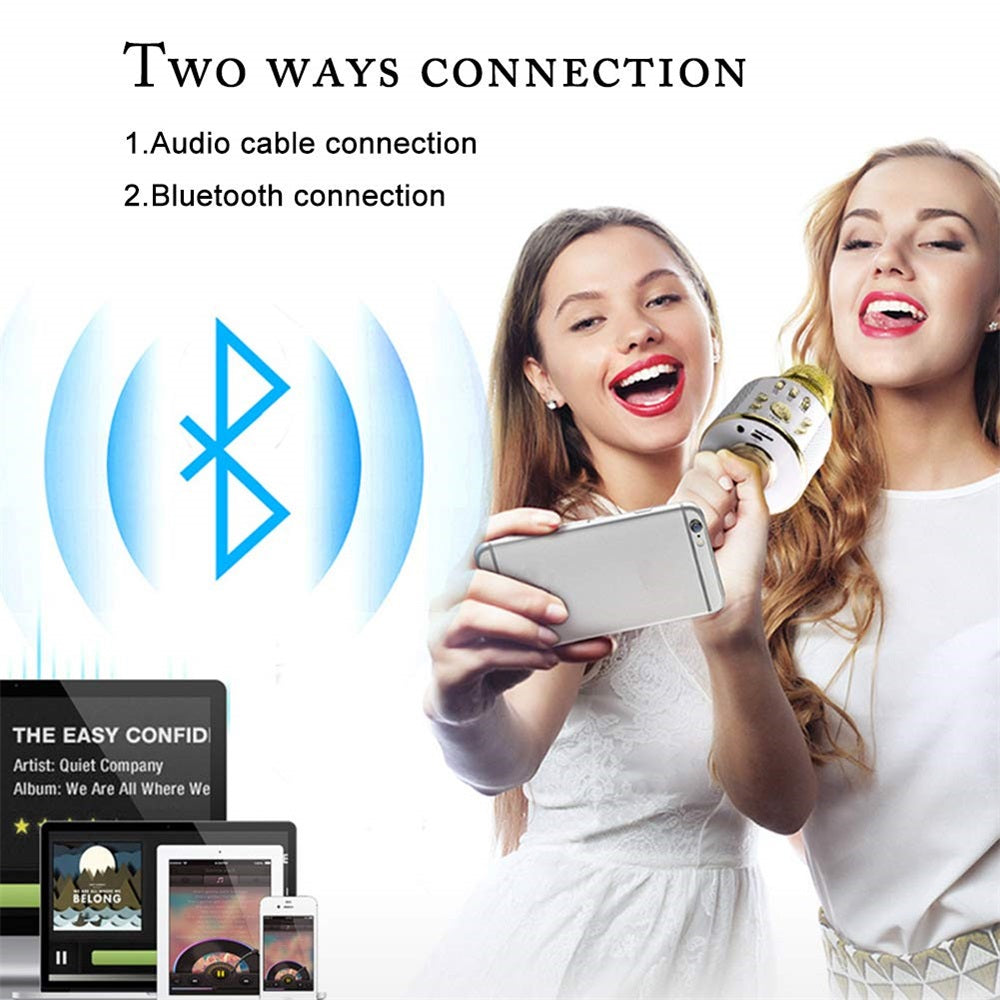 Portable Wireless Karaoke Microphone- USB Charging_3