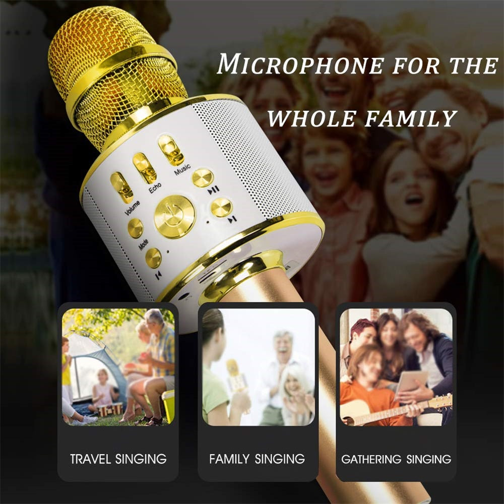 Portable Wireless Karaoke Microphone- USB Charging_1