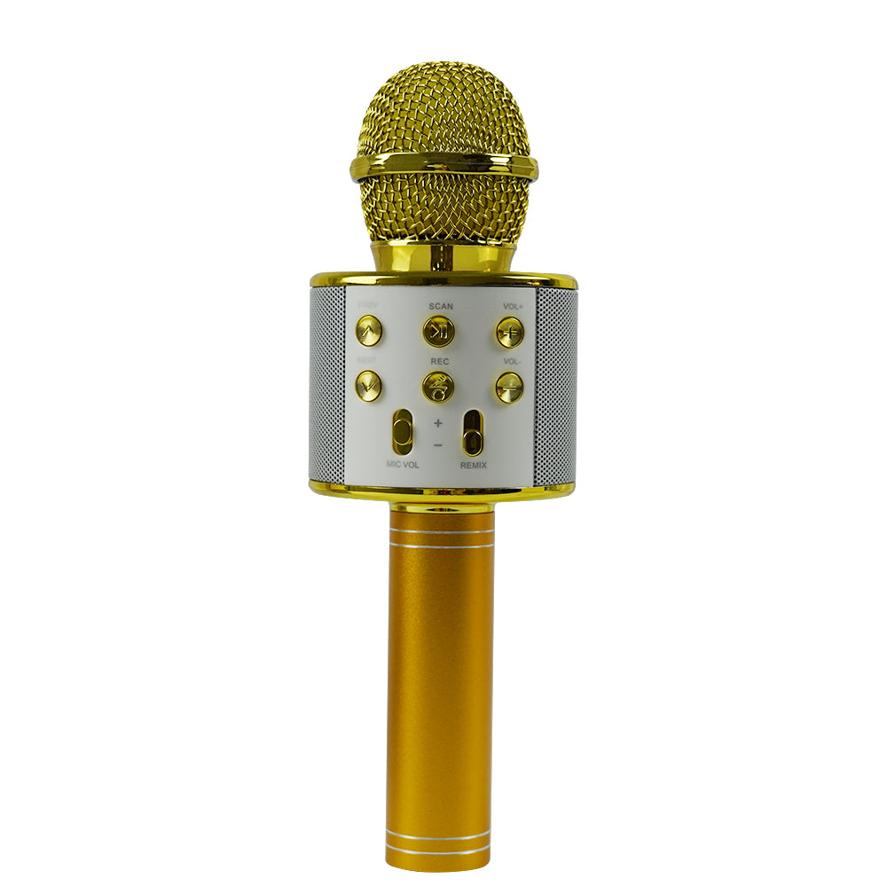 Portable USB Rechargeable Wireless Bluetooth Karaoke Microphone_2