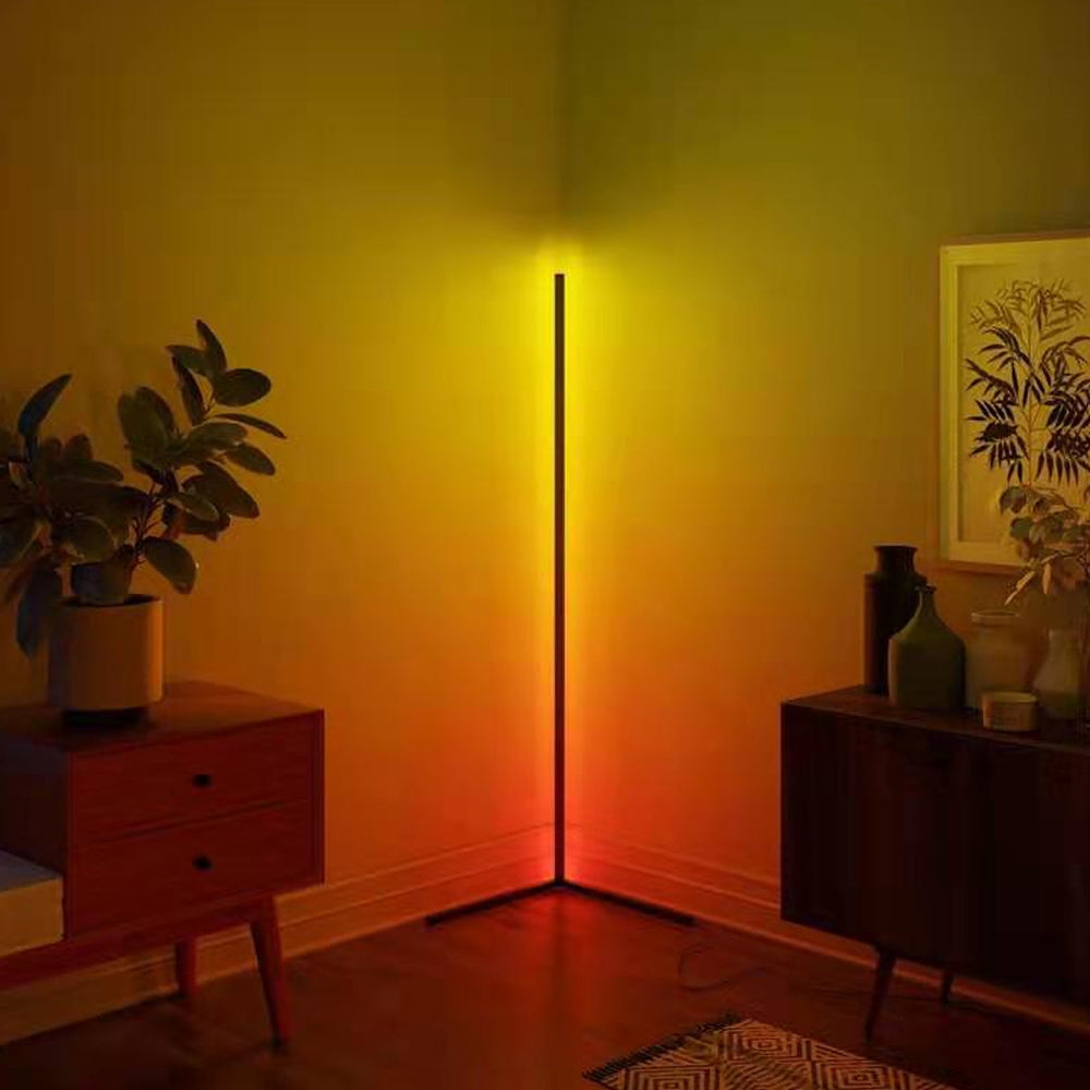 Remote Controlled Dimmable Standing Corner Floor Lamp-USB Rechargable_3