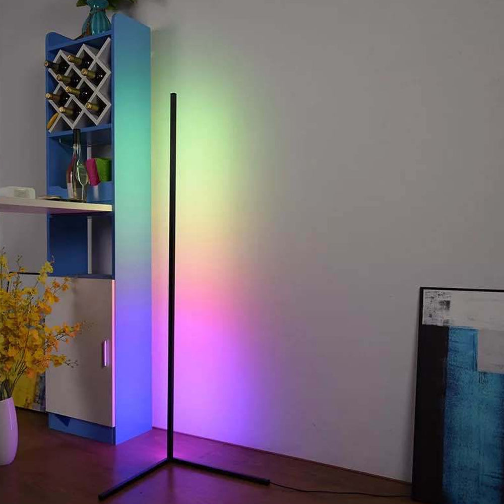 Remote Controlled Dimmable Standing Corner Floor Lamp-USB Rechargable_4