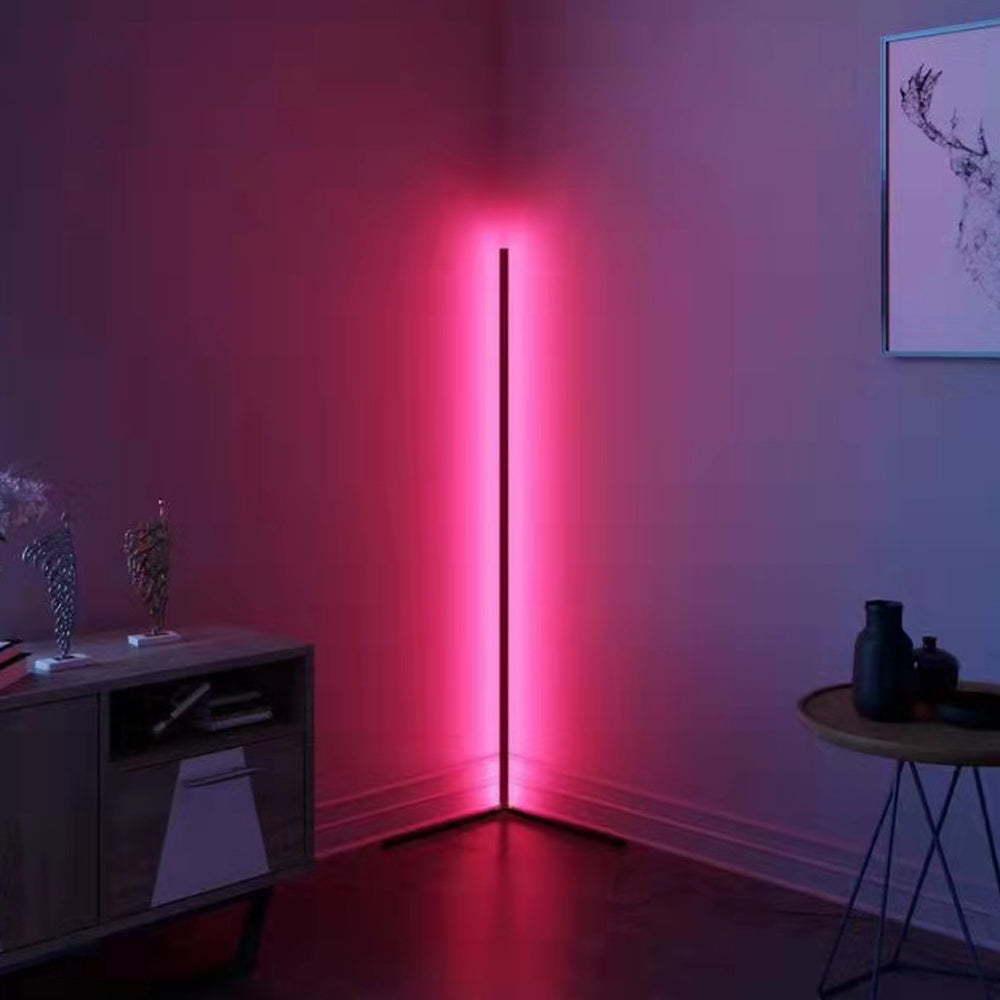 Remote Controlled Dimmable Standing Corner Floor Lamp-USB Rechargable_6