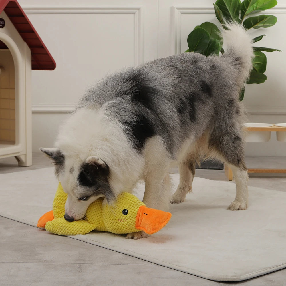 Cute Plush Duck Squeaky Dog Toy with Soft Squeake_10